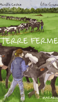 Couverture du livre TERRE FERME