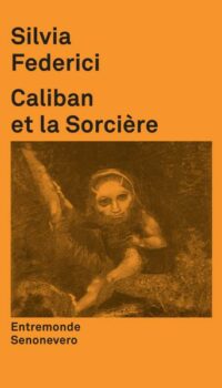 Couverture du livre CALIBAN ET LA SORCIERE (NED 2017)