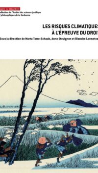 Couverture du livre LES RISQUES CLIMATIQUES A L'EPREUVE DU DROIT