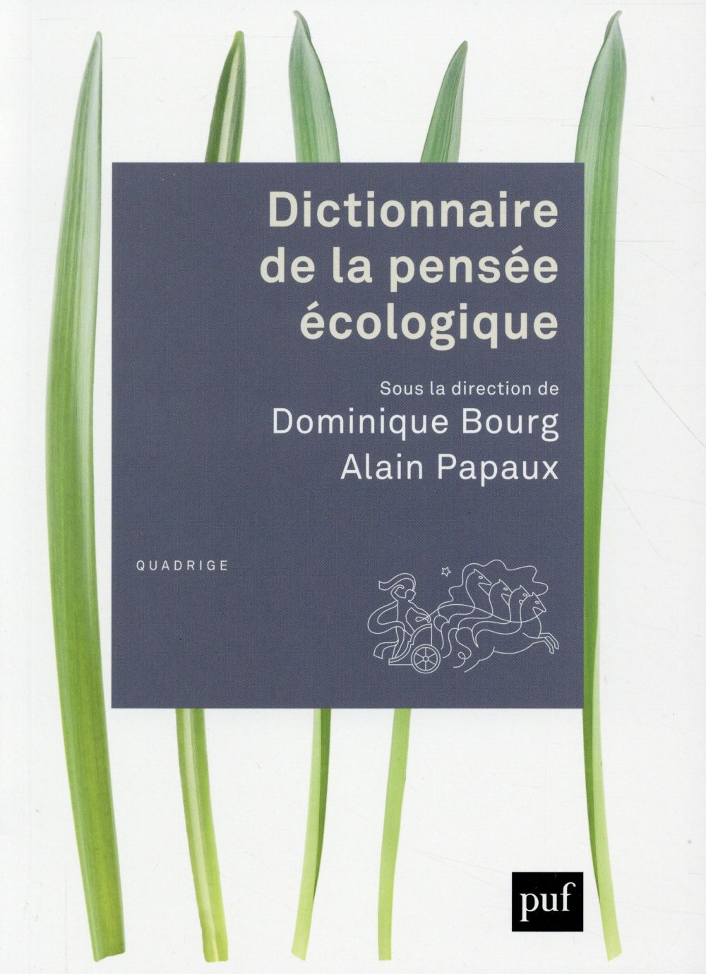 Couverture du livre DICTIONNAIRE DE LA PENSEE ECOLOGIQUE