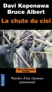 Couverture du livre LA CHUTE DU CIEL