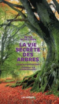 Couverture du livre LA VIE SECRETE DES ARBRES