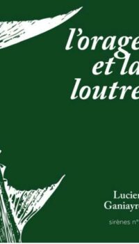 Couverture du livre L'ORAGE ET LA LOUTRE