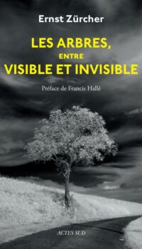 Couverture du livre LES ARBRES