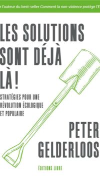 Couverture du livre STRATEGIES POUR UNE REVOLUTION ECOLOGIQUE ET POPULAIRE