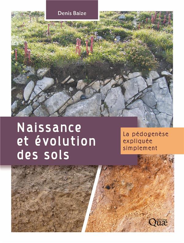 Couverture du livre NAISSANCE ET EVOLUTION DES SOLS - LA PEDOGENESE EXPLIQUEE SIMPLEMENT