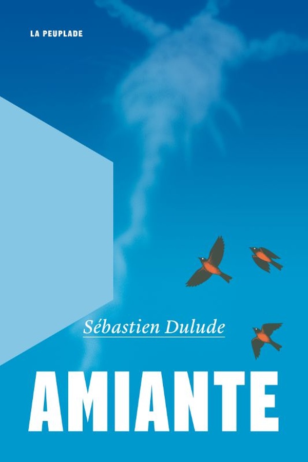 Couverture du livre AMIANTE