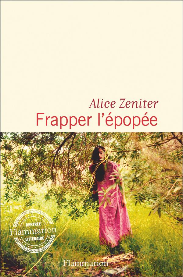 Couverture du livre FRAPPER L'EPOPEE