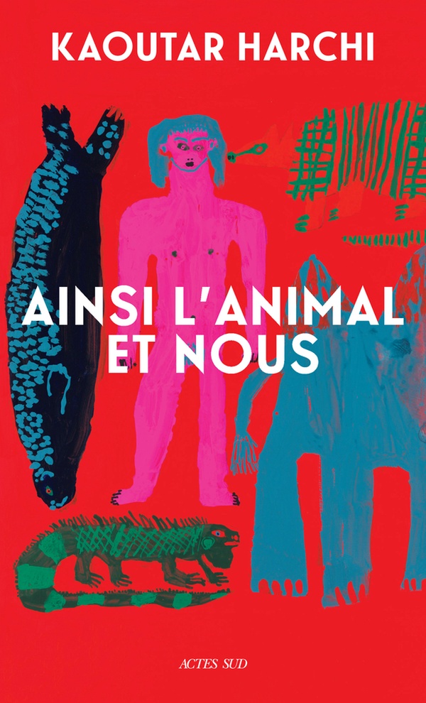 Couverture du livre AINSI L'ANIMAL ET NOUS