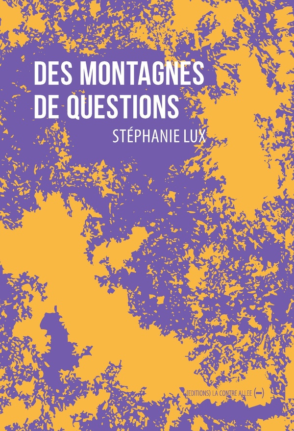 Couverture du livre DES MONTAGNES DE QUESTIONS