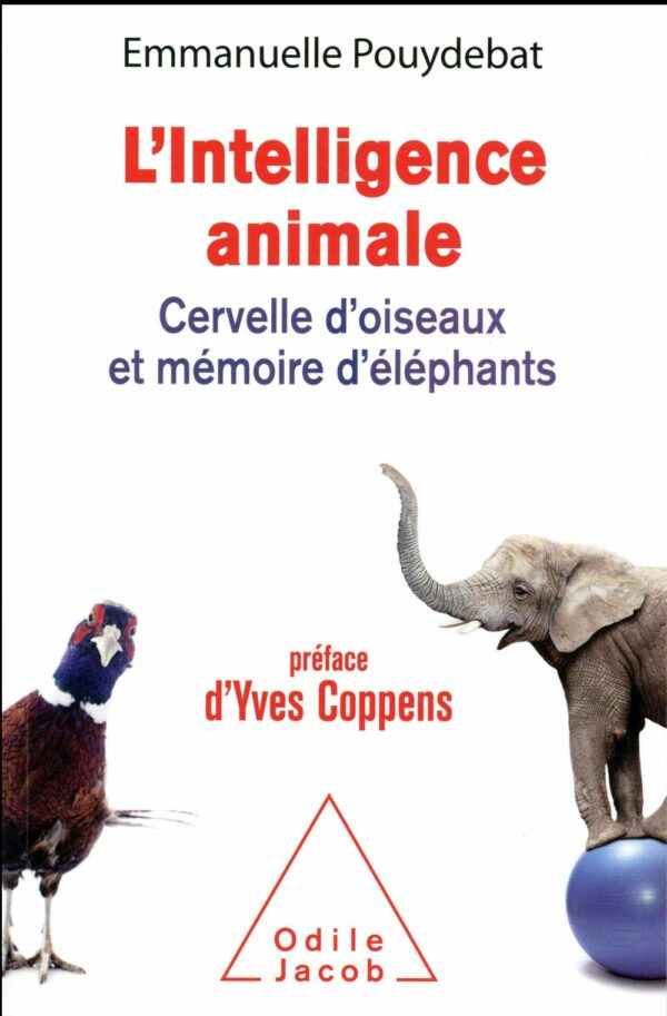 Couverture du livre L'INTELLIGENCE ANIMALE