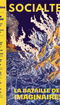 Couverture du livre SOCIALTER HS N 8 - LE REVEIL DES IMAGINAIRES - ALAIN DAMASIO