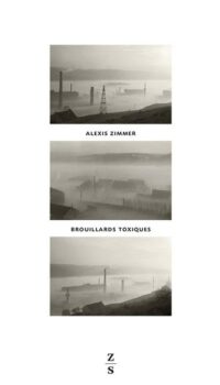 Couverture du livre BROUILLARDS TOXIQUES