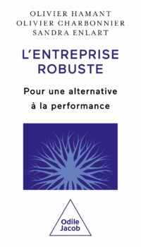 Couverture du livre L'ENTREPRISE ROBUSTE - POUR UNE ALTERNATIVE A LA PERFORMANCE