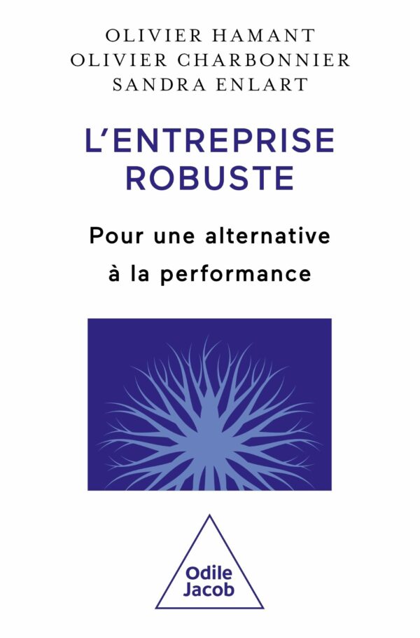 Couverture du livre L'ENTREPRISE ROBUSTE - POUR UNE ALTERNATIVE A LA PERFORMANCE