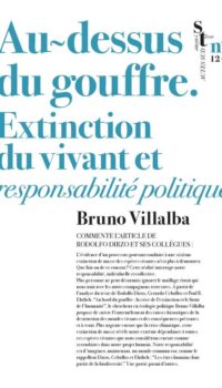 Couverture du livre AU-DESSUS DU GOUFFRE - EXTINCTION DU VIVANT ET RESPONSABILITE POLITIQUE