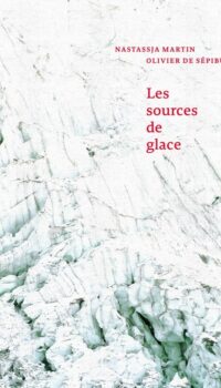 Couverture du livre LES SOURCES DE GLACE