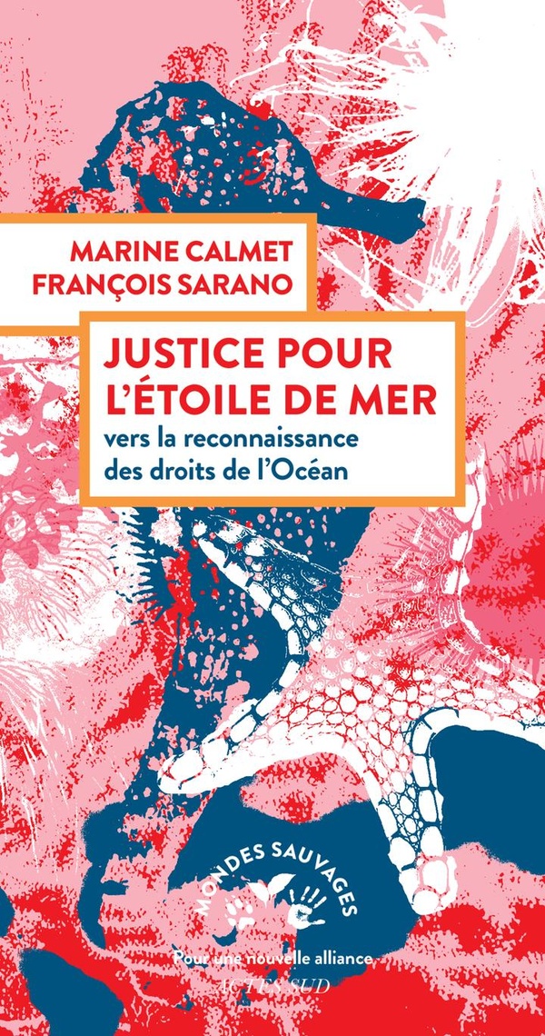 Couverture du livre JUSTICE POUR L'ETOILE DE MER - VERS LA RECONNAISSANCE DES DROITS DE L'OCEAN