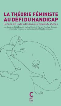 Couverture du livre LA THEORIE FEMINISTE AU DEFI DU HANDICAP