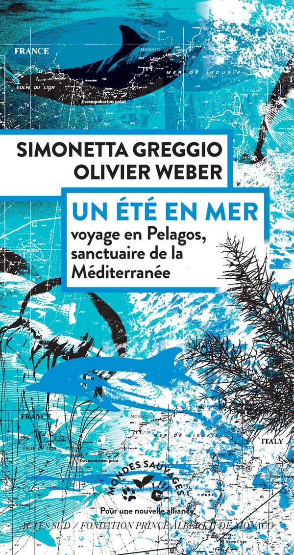 Couverture du livre UN ETE EN MER - VOYAGE EN PELAGOS
