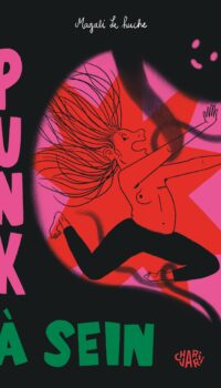 Couverture du livre PUNK A SEIN