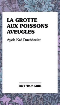 Couverture du livre LA GROTTE AUX POISSONS AVEUGLES