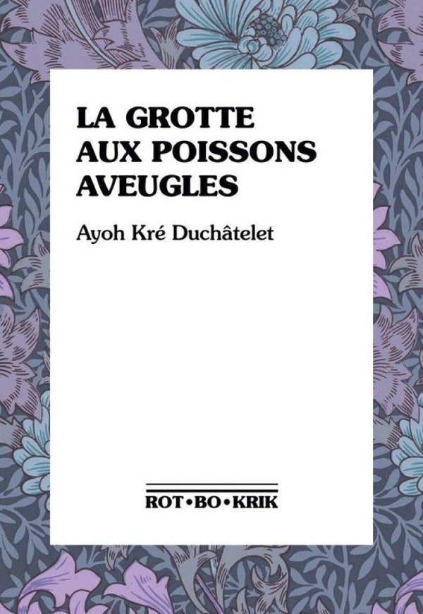 Couverture du livre LA GROTTE AUX POISSONS AVEUGLES