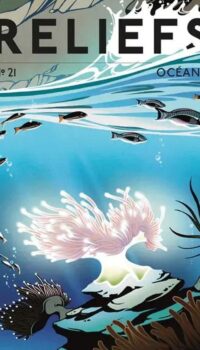 Couverture du livre REVUE RELIEFS - N 21 OCEANS