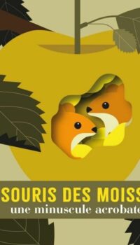 Couverture du livre LA SOURIS DES MOISSONS - UNE MINUSCULE ACROBATE