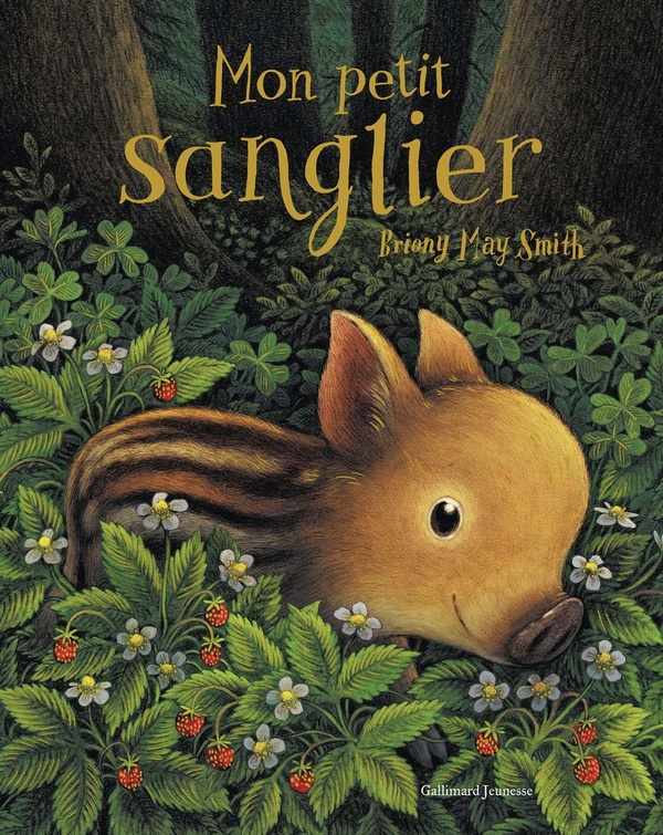 Couverture du livre MON PETIT SANGLIER