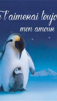 Couverture du livre JE T'AIMERAI TOUJOURS