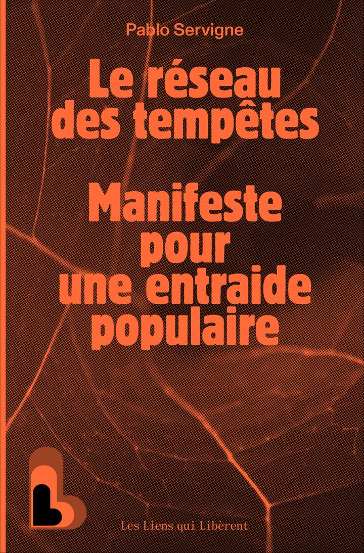 Couverture du livre LE RESEAU DES TEMPETES - MANIFESTE POUR UNE ENTRAIDE POPULAIRE GENERALISEE