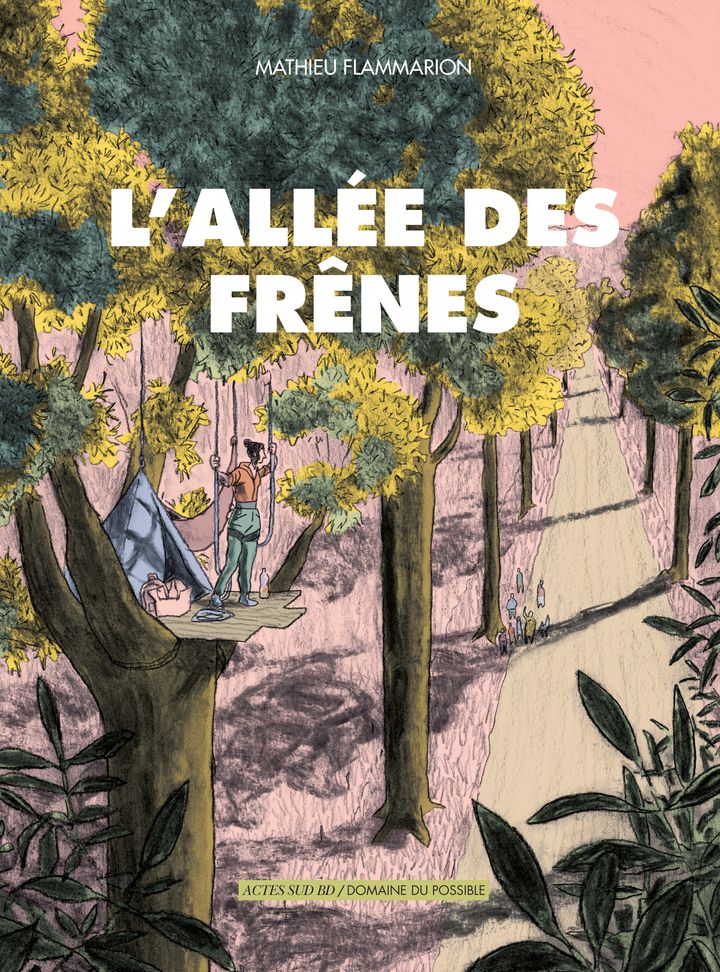 Couverture du livre L'ALLEE DES FRENES