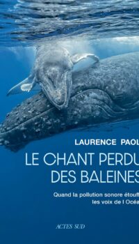 Couverture du livre LE CHANT PERDU DES BALEINES - QUAND LA POLLUTION SONORE ETOUFFE LES VOIX DE L'OCEAN