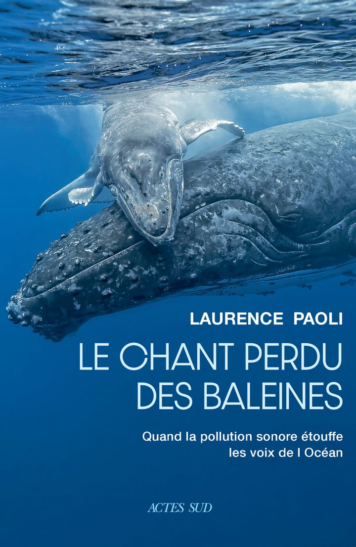 Couverture du livre LE CHANT PERDU DES BALEINES - QUAND LA POLLUTION SONORE ETOUFFE LES VOIX DE L'OCEAN