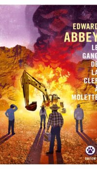 Couverture du livre LE GANG DE LA CLEF A MOLETTE