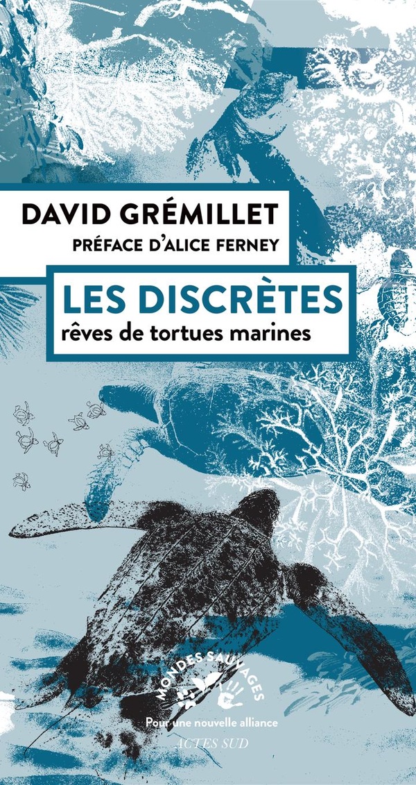 Couverture du livre LES DISCRETES - REVES DE TORTUES MARINES