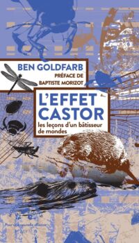 Couverture du livre L'EFFET CASTOR - LES LECONS D'UN BATISSEUR DE MONDES