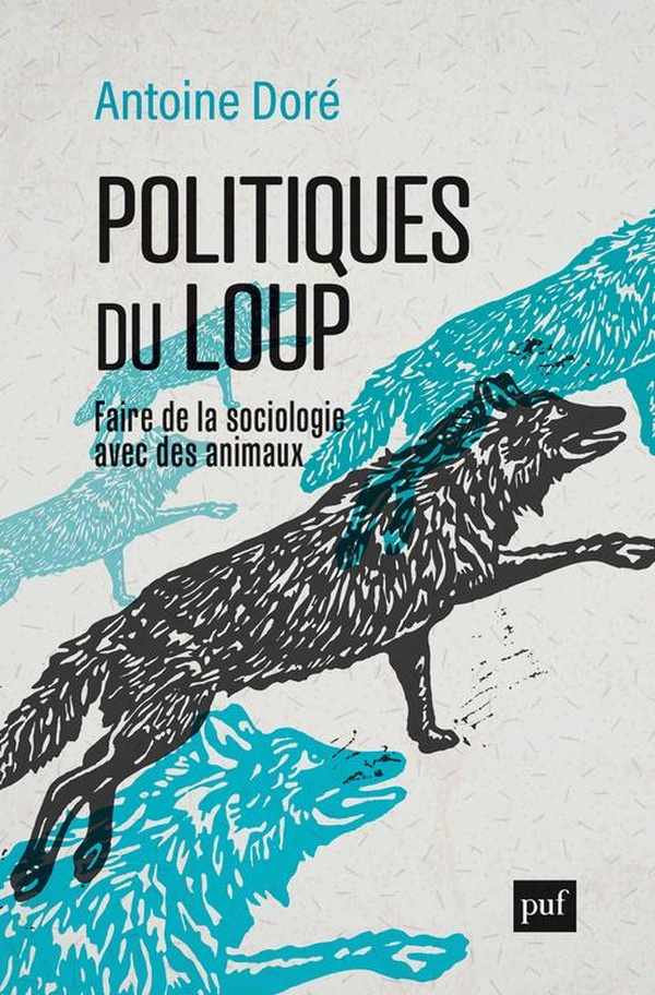 Couverture du livre POLITIQUES DU LOUP - FAIRE DE LA SOCIOLOGIE AVEC DES ANIMAUX