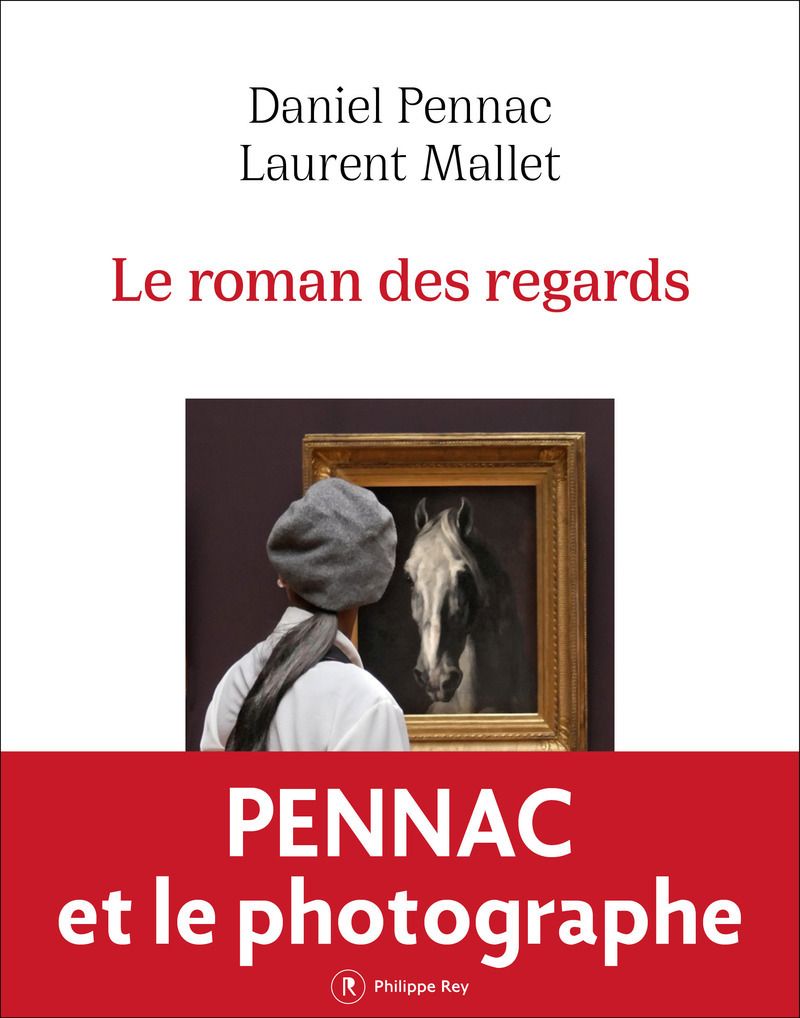 Couverture du livre LE ROMAN DES REGARDS