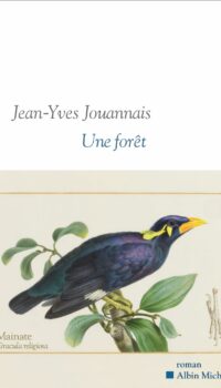 Couverture du livre UNE FORET