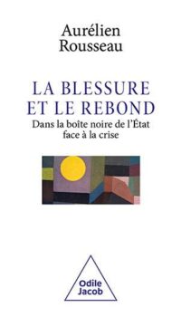 Couverture du livre LA BLESSURE ET LE REBOND