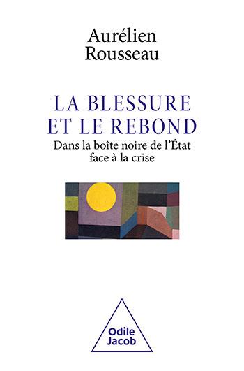 Couverture du livre LA BLESSURE ET LE REBOND