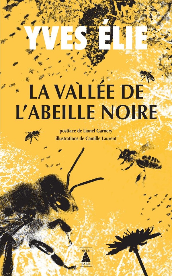 Couverture du livre LA VALLEE DE L'ABEILLE NOIRE - ILLUSTRATIONS