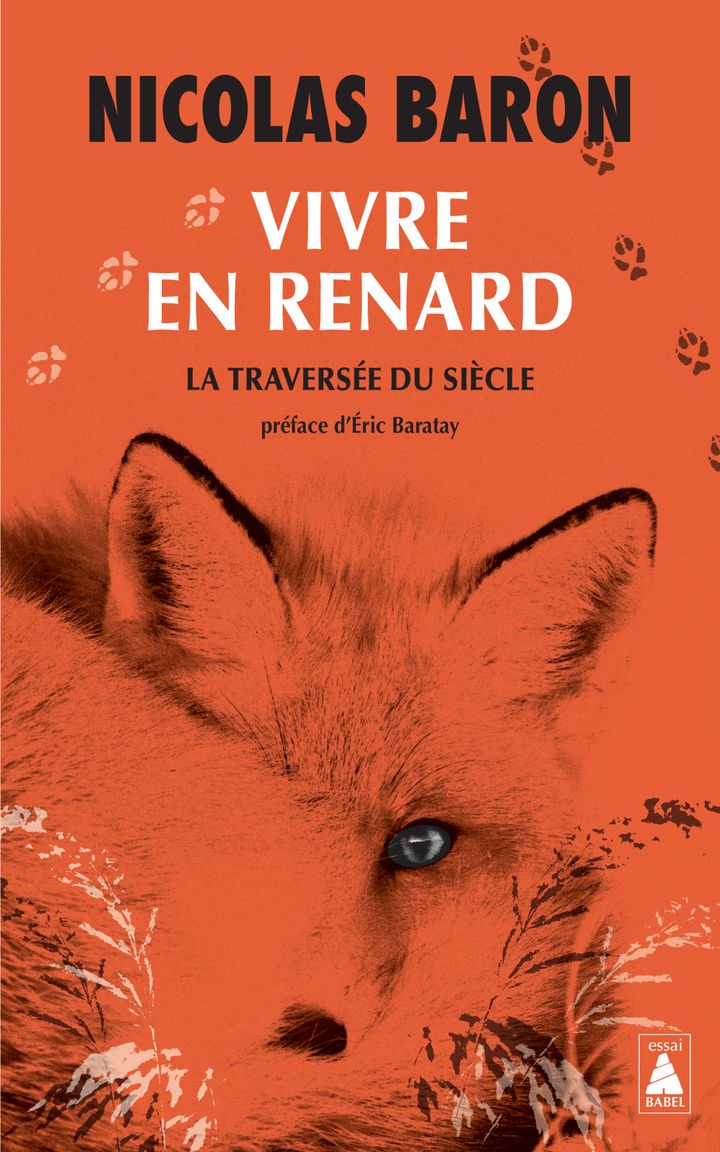 Couverture du livre VIVRE EN RENARD - ILLUSTRATIONS