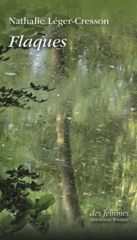 Couverture du livre FLAQUES