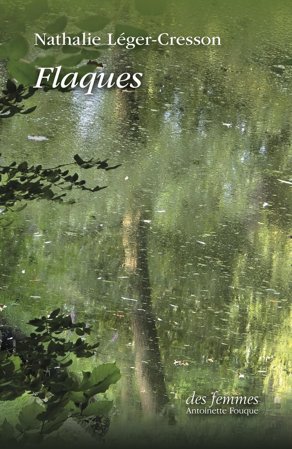 Couverture du livre FLAQUES