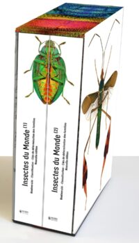 Couverture du livre INSECTES DU MONDE NOUVELLE EDITION - BIODIVERSITE - CLASSIFICATION - CLES DE DETERMINATION DES FAMIL