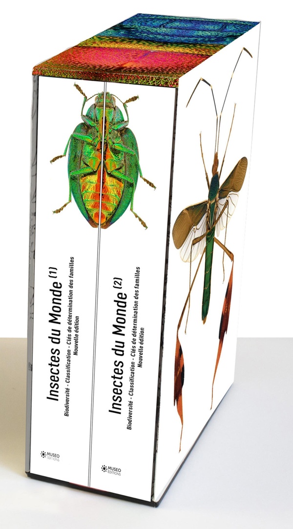 Couverture du livre INSECTES DU MONDE NOUVELLE EDITION - BIODIVERSITE - CLASSIFICATION - CLES DE DETERMINATION DES FAMIL
