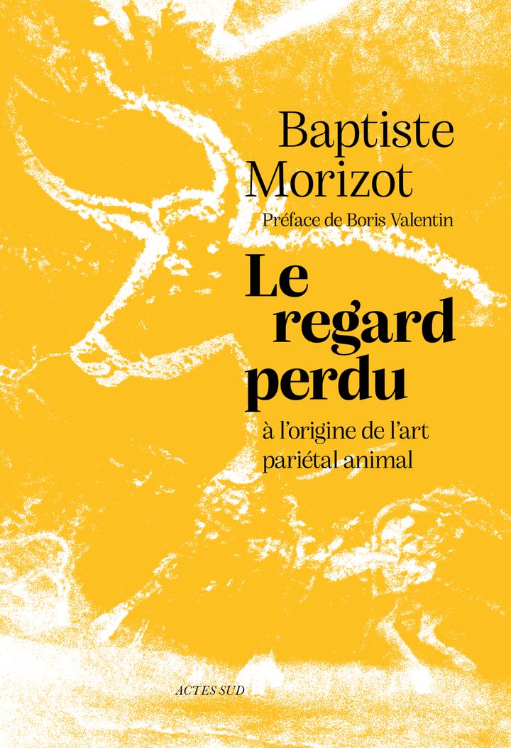 Couverture du livre LE REGARD PERDU